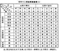 十二長生大運|八字十二長生解讀——胎、養